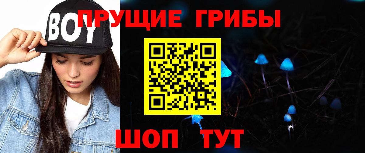 Нефтекумск  купить  цена  Вход с VPN  Псилоцибиновые грибы MAGIC MUSHROOMS 