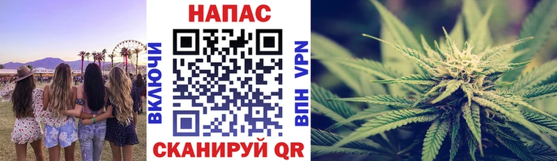 Шишки марихуана семена Нефтекумск